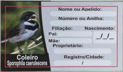 CARTÃO IDENTIFICADOR PARA PÁSSARO EM GAIOLA - COLEIRA FEMEA